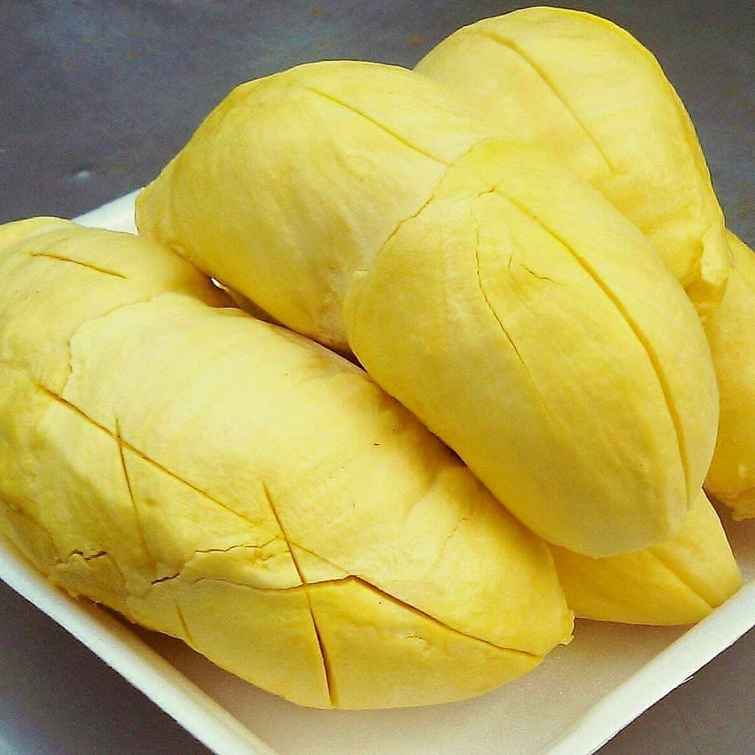 bibitbuah33's tweet photo. Siapa yang suka dengan durian
👉sedia bibit dan pupuk buah 
👉konsultasi WA 0812 3938 1108 
#indonesia #kuliner #masakan #rumah #bibit #tanamanhias #tanaman #pupuk #wisata #jakarta #bandung #surabaya https://t.co/Cjj8L63cxE