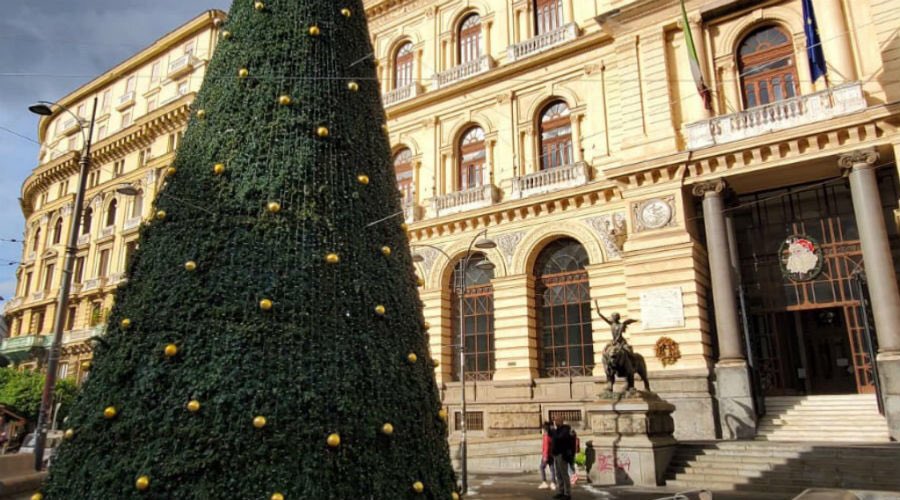 Scuolazzurri1's tweet photo. ALBERI DI NATALE TRA LE PIAZZE ITALIANE_CHRISTMAS TREES BETWEEN ITALIAN SQUARES: NAPOLI, CAMPANIA 🇮🇹https://t.co/qfzvTv3Udj
.
.
#napoli #campania #alberodiNatale #christmastree #ChristmasVibes #italiansquare #Italy #beautifuldestinations #beautiful #travel #picoftheday https://t.co/jMrZkxJH5h