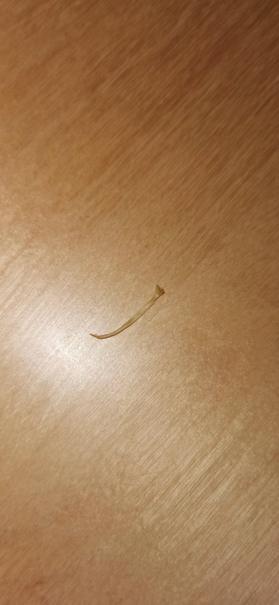 nicola tonge tweet media