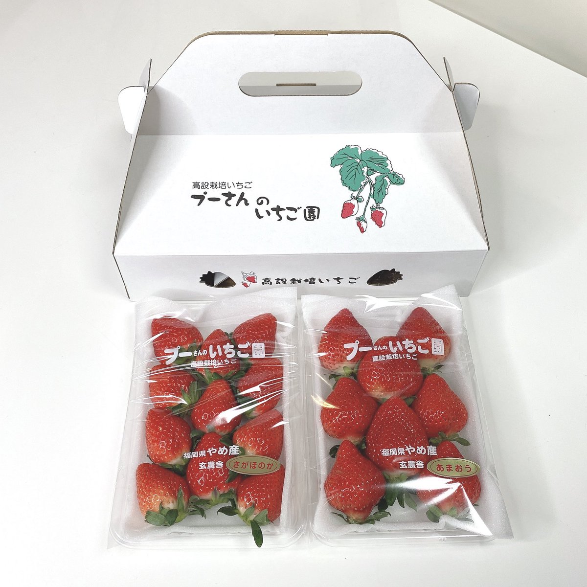 プーさんのいちご園 Twitter Search Twitter