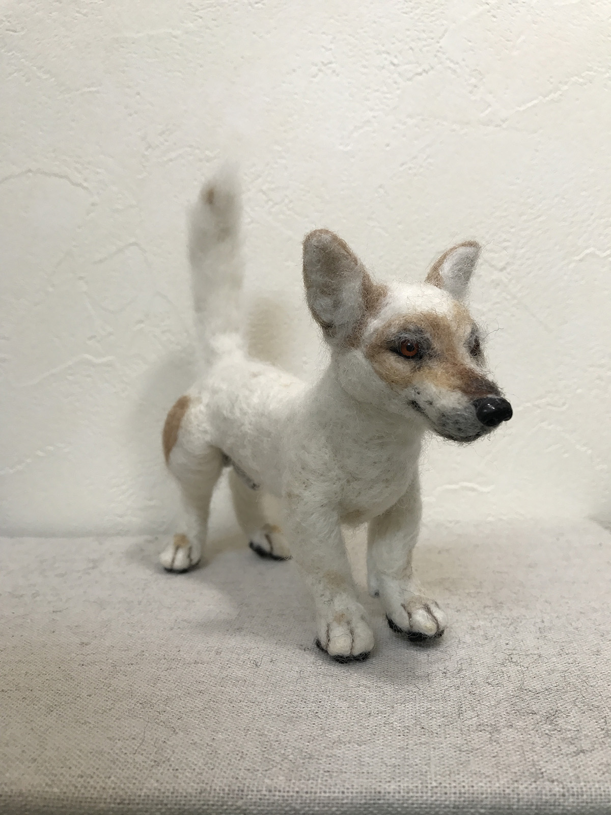 大東犬 Twitter Search Twitter