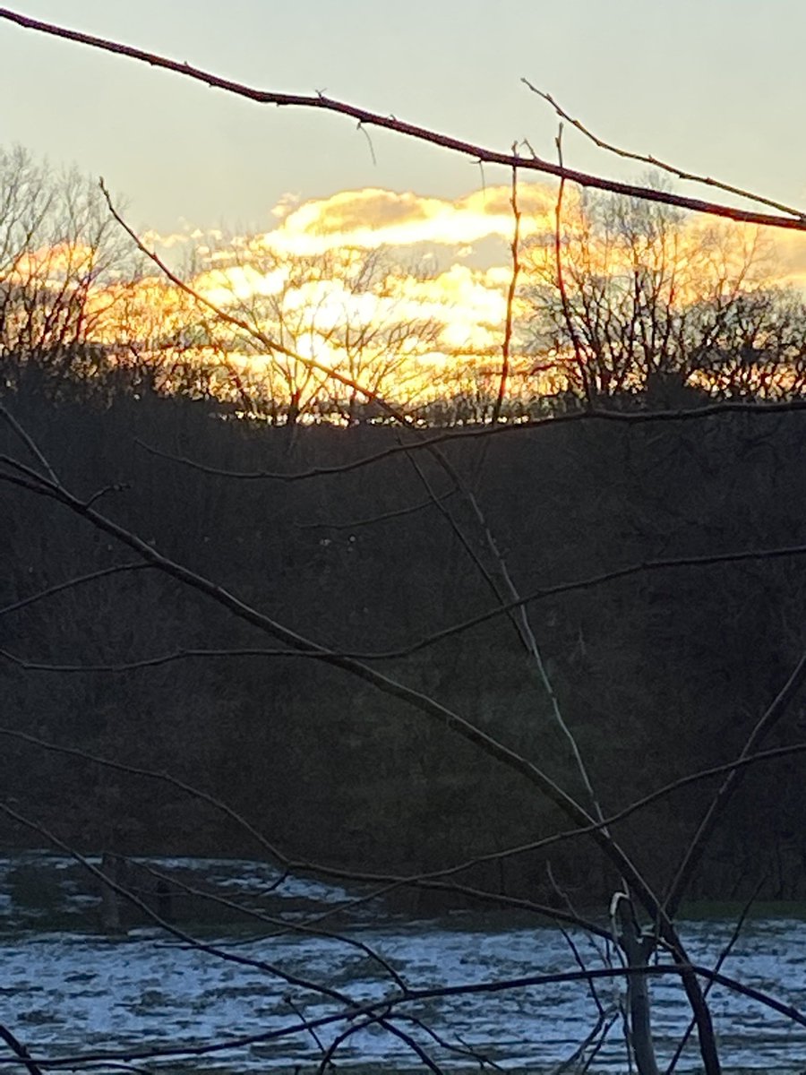 joan bauer tweet media