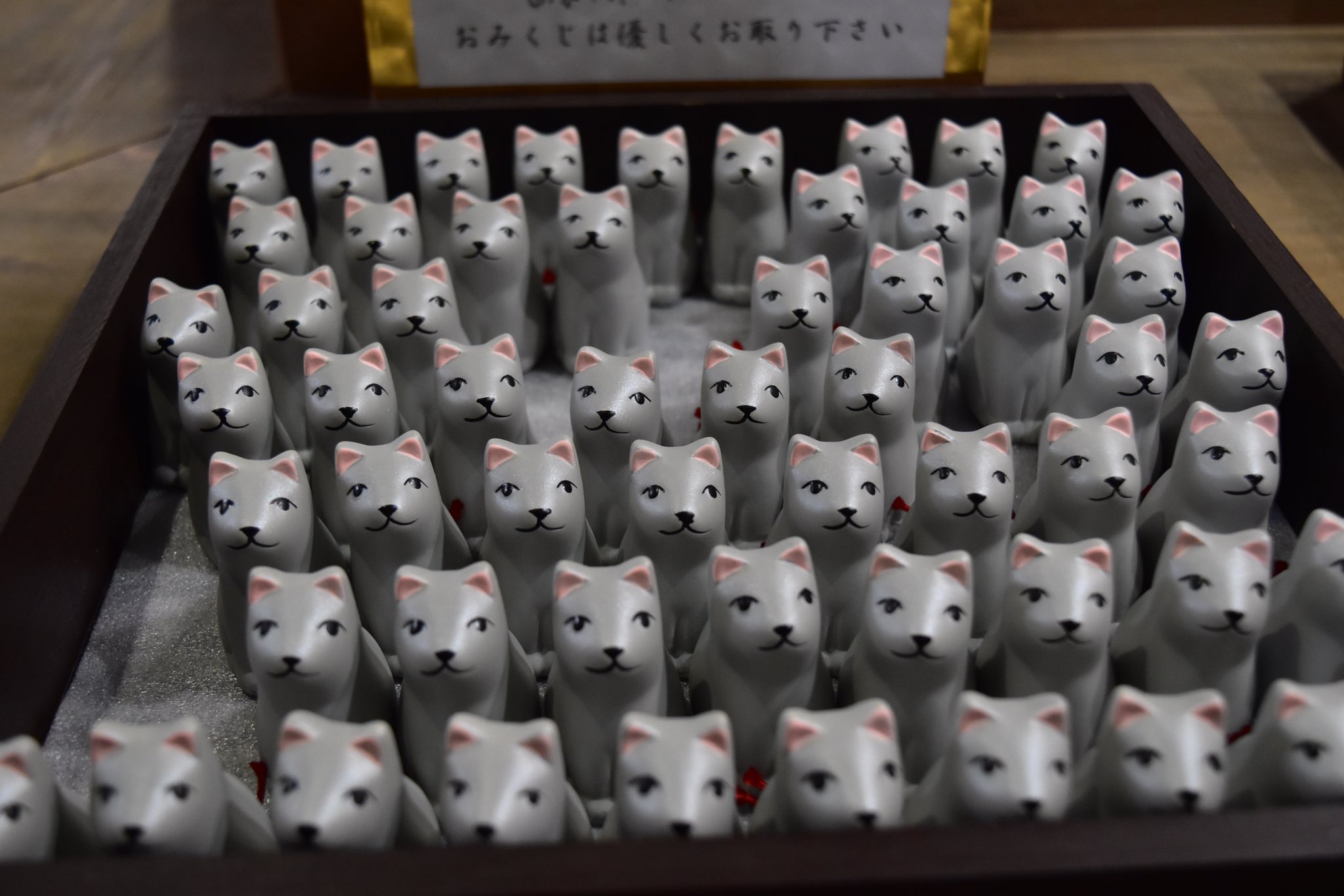تويتر 純と蛍 旅に出ようかぁ على تويتر 名犬 早太郎のおみくじ 光前寺 早太郎伝説 T Co 4uxonkxqeq