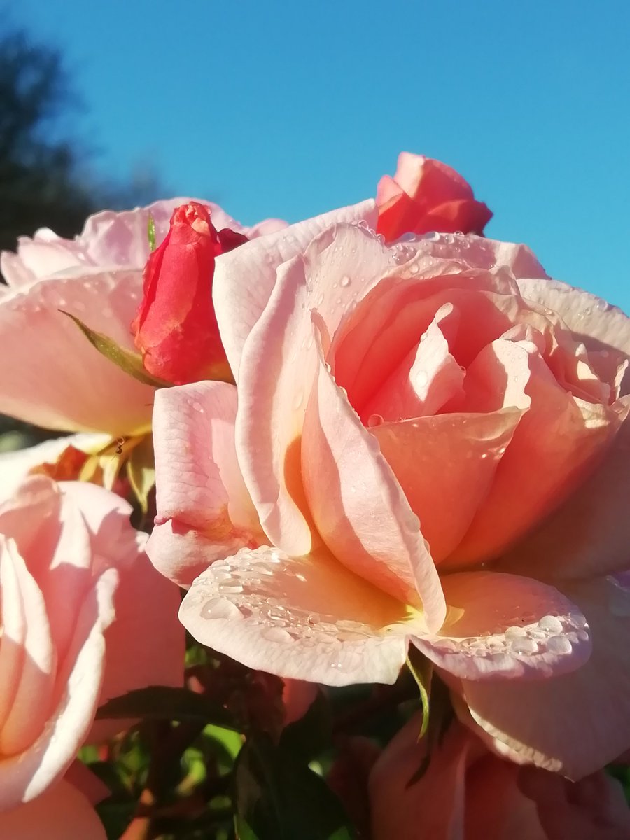 Skerries Community College Photography Club tweet media