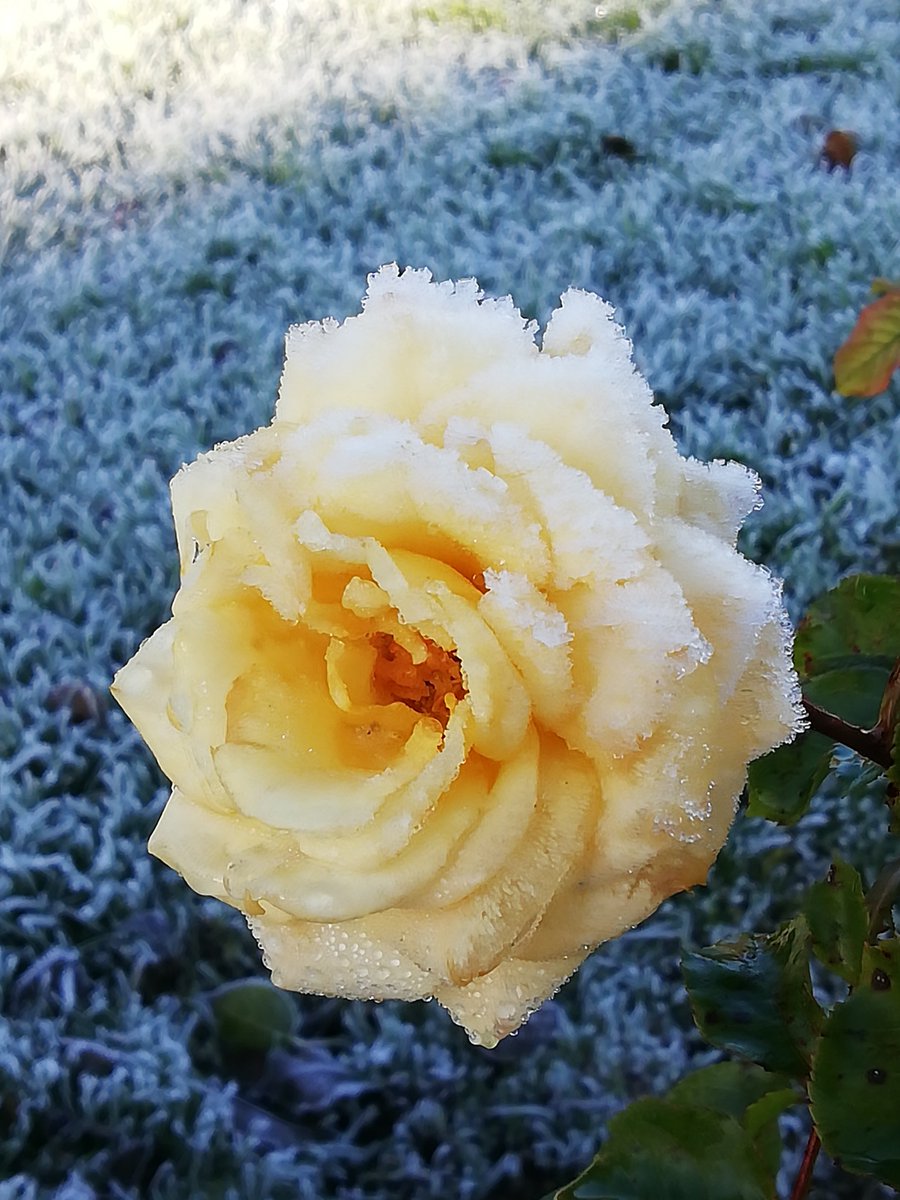 Skerries Community College Photography Club tweet media