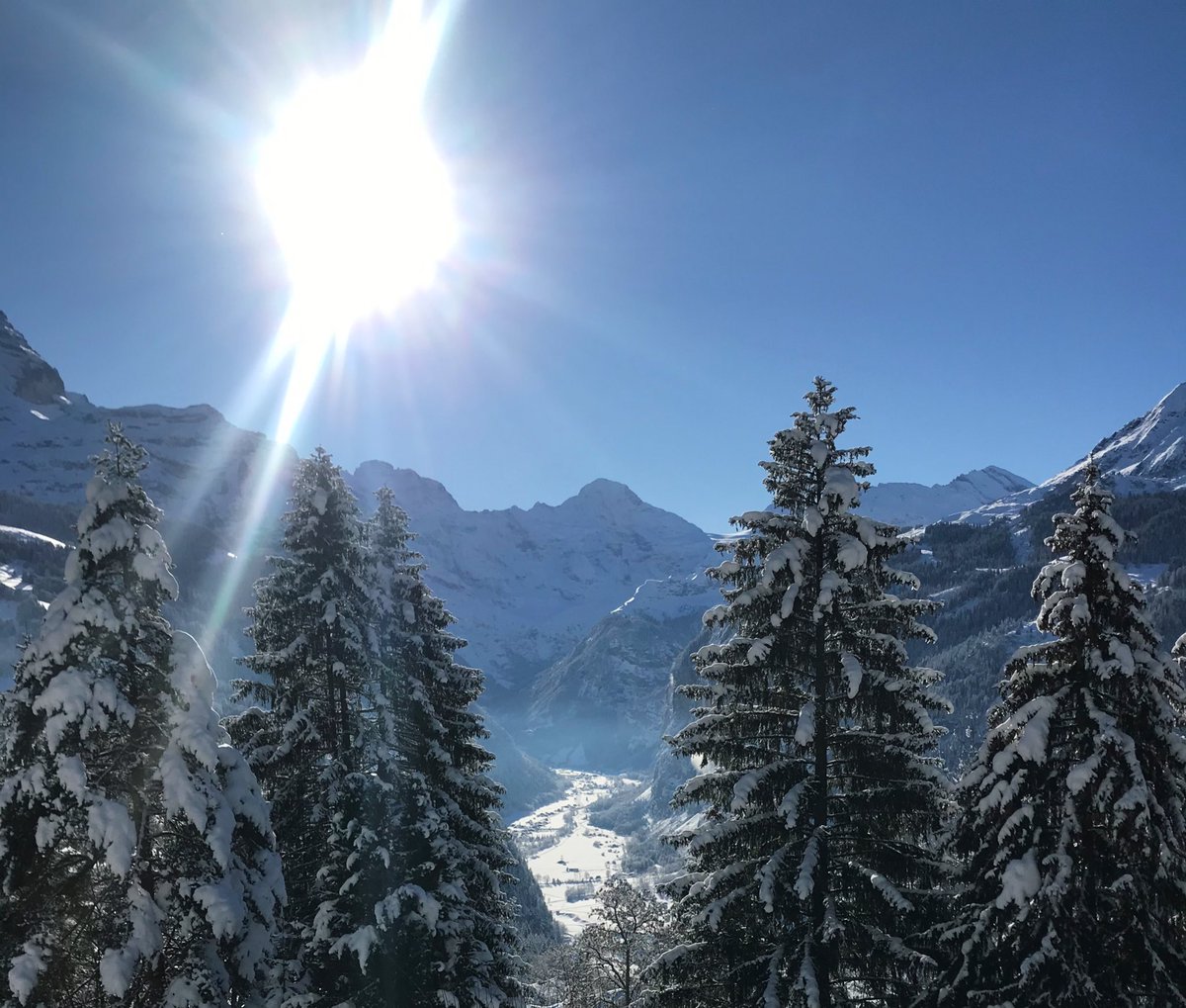 Tired of the foggy weather? Well, up here in Wengen there is no chance of not getting sun-kissed (at least today 😉). Get your first tan on Saturday when the ski resort opens—and on our terrace from the 18th of December. 🤗 #wengen #skiing