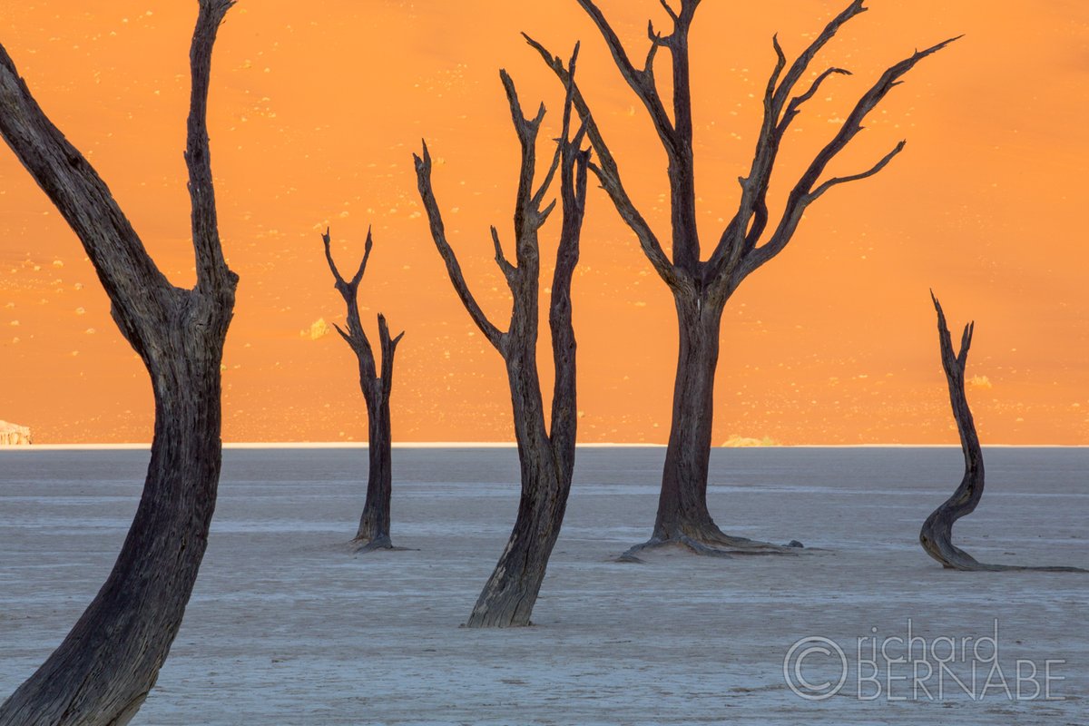 bernabephoto's tweet photo. A photo tribute to the color orange, a blend of red and yellow that oozes with delight, bursting with energy and warmth. #photography https://t.co/tYhVuxNH2L