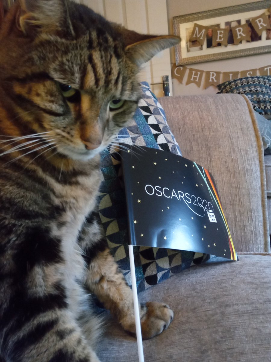 ShellyH00231127's tweet image. Rocky the Cat is ready to cheer us all on at the #nottsoscars. Well done to all the nominees ❤️ for their awesome work! @NottsHealthcare