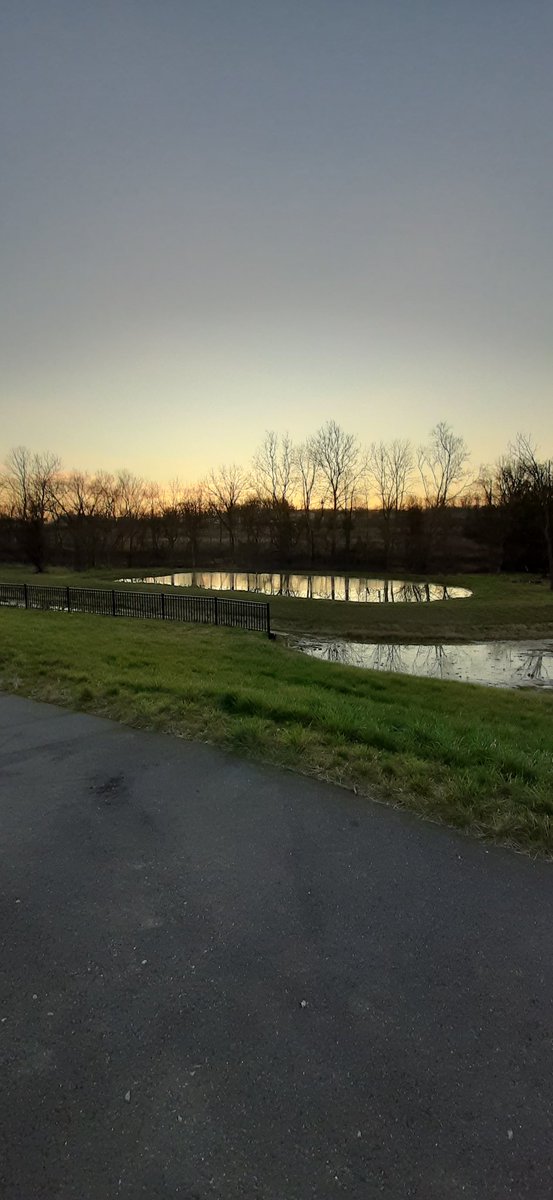 ICEOBS_1's tweet photo. Ice on the pond this morning! #itisDecember @Wegmans @NWSStateCollege https://t.co/cfCV3kSgOW
