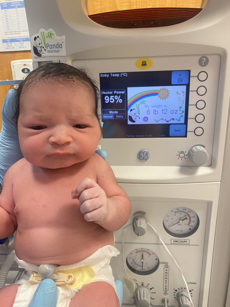 Jose Memo Rodriguez tweet media