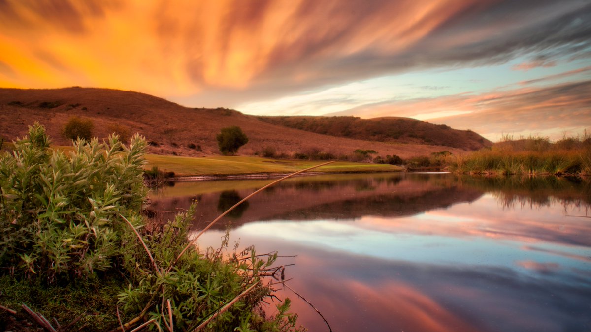 Michael Wolpoff,CGCS tweet media