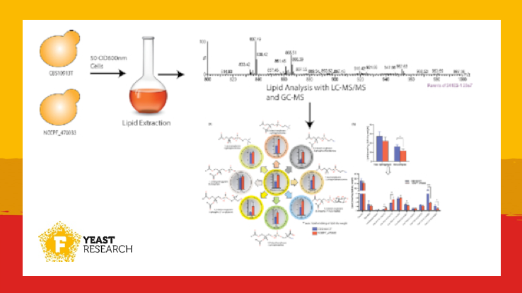 FEMSmicro's tweet image. The human #fungalpathogen Candida auris is classified by the #CDC as an urgent threat. Here, Shahi et al. determine its lipid composition, highlighting alterations in lipids that may be correlated to high drug resistance.
academic.oup.com/femsyr/article…

#FEMSYeastRes
#DrugResistance