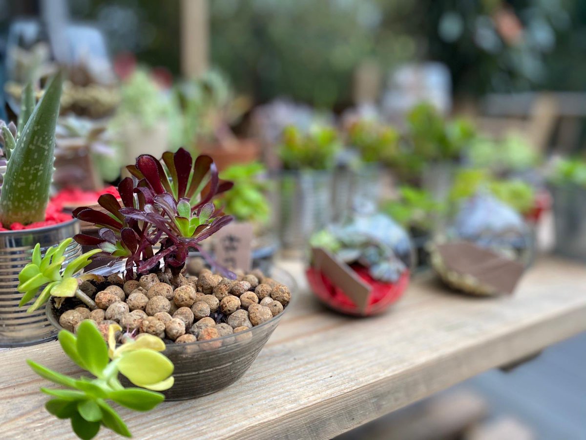 London SE Colleges tweet media