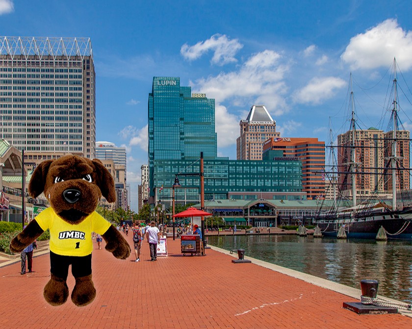 True Grit is enjoying a scenic stroll through the Inner Harbor this morning! Use the promo code GrittyintheCity for an extra 5% OFF business attire today ONLY!
.
All UMBC logo merch is 20% OFF through December 11th. *Exclusions apply.
#HolidayCountdownSale #UMBC #TrueGrit