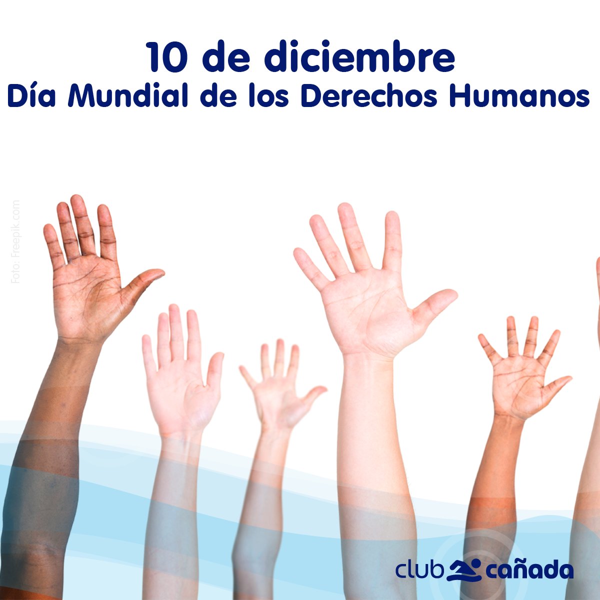 ccnatacion's tweet photo. “Privar a las personas de sus derechos humanos es poner en tela de juicio su propia humanidad.”
Nelson Mandela https://t.co/dh9QVub2az