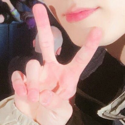 hourly doll koo tweet media