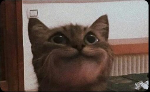 neslixmulti's tweet image. Ben bir bok yedimm..