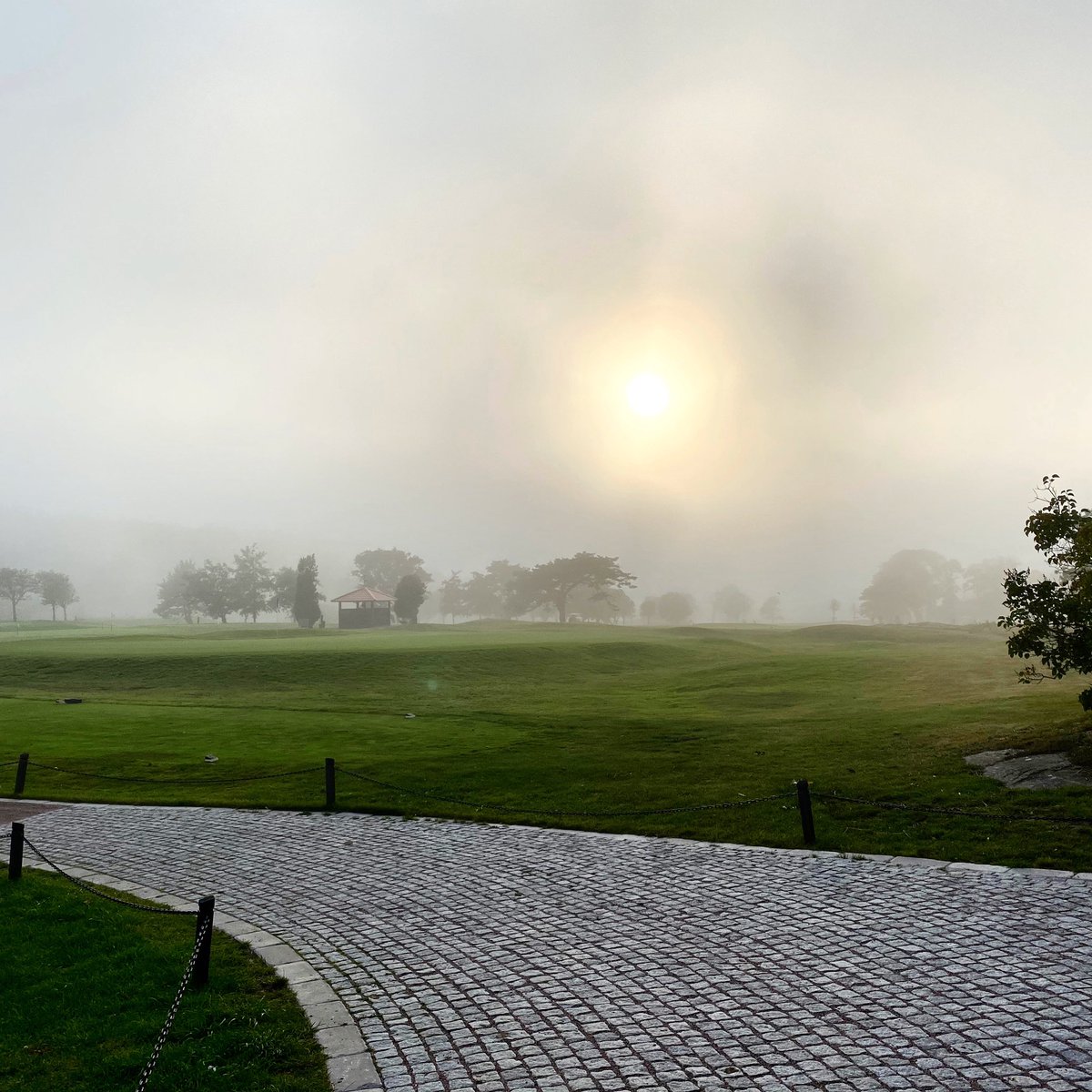 fofrealestates's tweet photo. Idag firar vi ytterligare ett fastighetsförvärv. Denna gång är det marker i Hovås Brottkärr med omnejd. Vi ser fram emot att snart sätta igång utvecklingen i dessa attraktiva områden. 

Välkommen hem till FoF! 

#realestate #development #investments #ZTAR #partners #foffamily https://t.co/lGzWmcxuTv