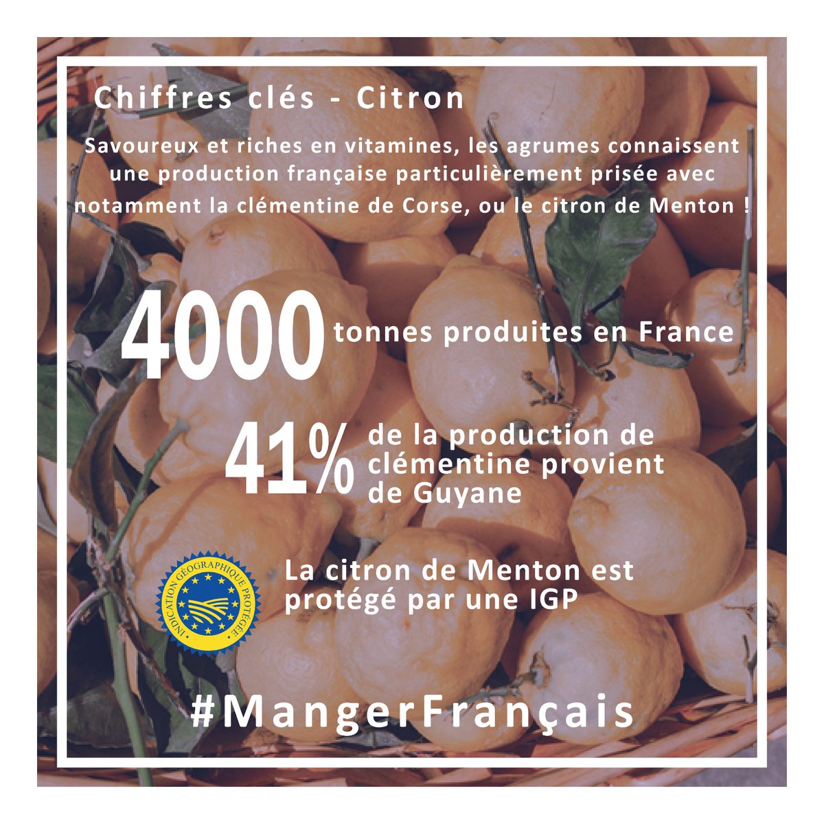 La FNSEA tweet media
