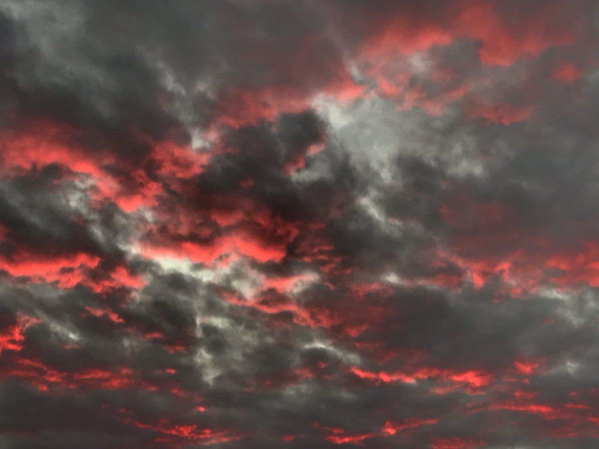 Sunrise 710. Area code 710 is a special area code in the North American Numbering Plan. It was reserved for the federal government in 1983. As of December 2006, it had only one working telephone number, 710-627-4387 for the Government Emergency Telecommunications Service. &ndash; bei  Shiras Park