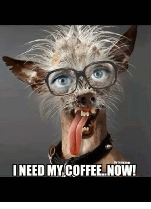 RefugeAz's tweet image. Yeah you do!! Get on in here!! We'll help you take care of that.....whatever that is.....
#coffeeisamust #what #locallyroastedcoffee