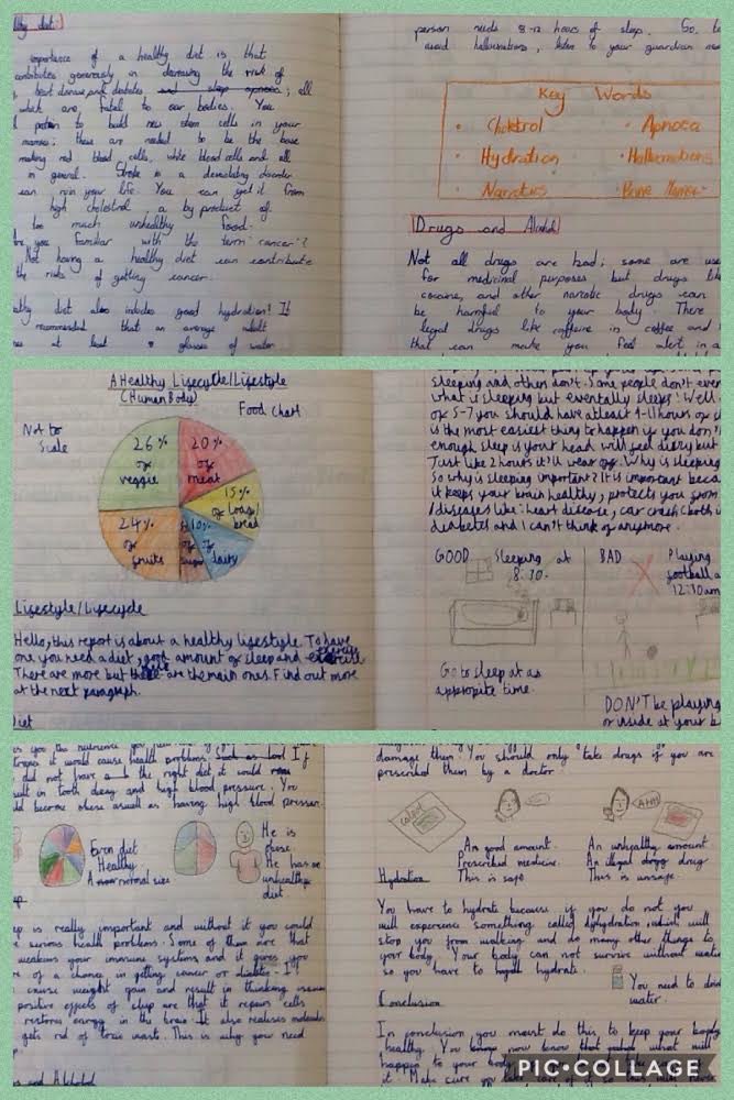 BGPrimary's tweet image. Following on from their research and investigations Y6 have written some fabulous reports looking holistically at the impact of a healthy lifestyle on the human body. #BGPscience #BGPEnglish
￼