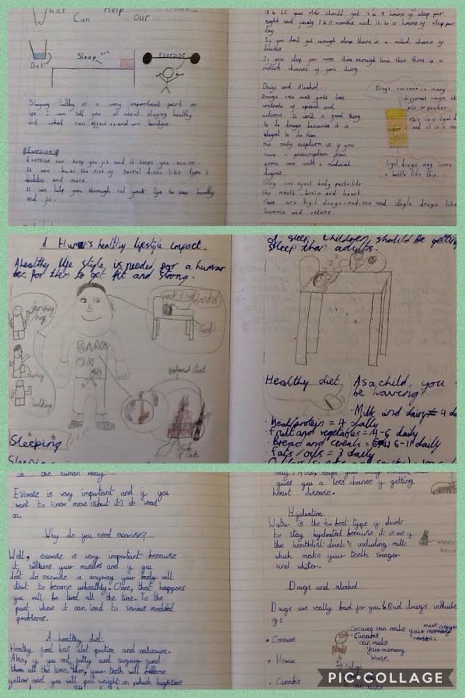BGPrimary's tweet image. Following on from their research and investigations Y6 have written some fabulous reports looking holistically at the impact of a healthy lifestyle on the human body. #BGPscience #BGPEnglish
￼