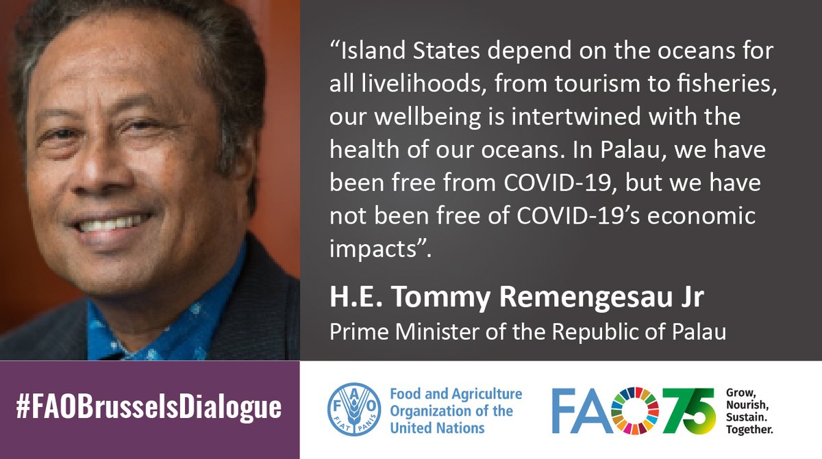 FAO Brussels tweet media