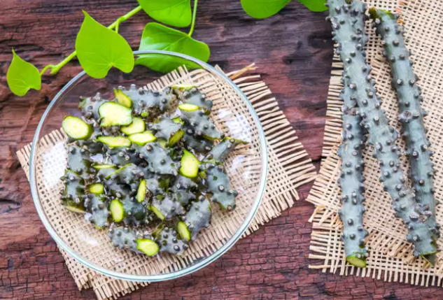 Giloy kadha Recipe: The combination of giloy with other herbs like tulsi, etc can be used regularly to keep oneself in good health  https://timesofindia.indiatimes.com/life-style/food-news/health-benefits-of-giloy-juice-and-easy-kadha-recipes/photostory/76389011.cms