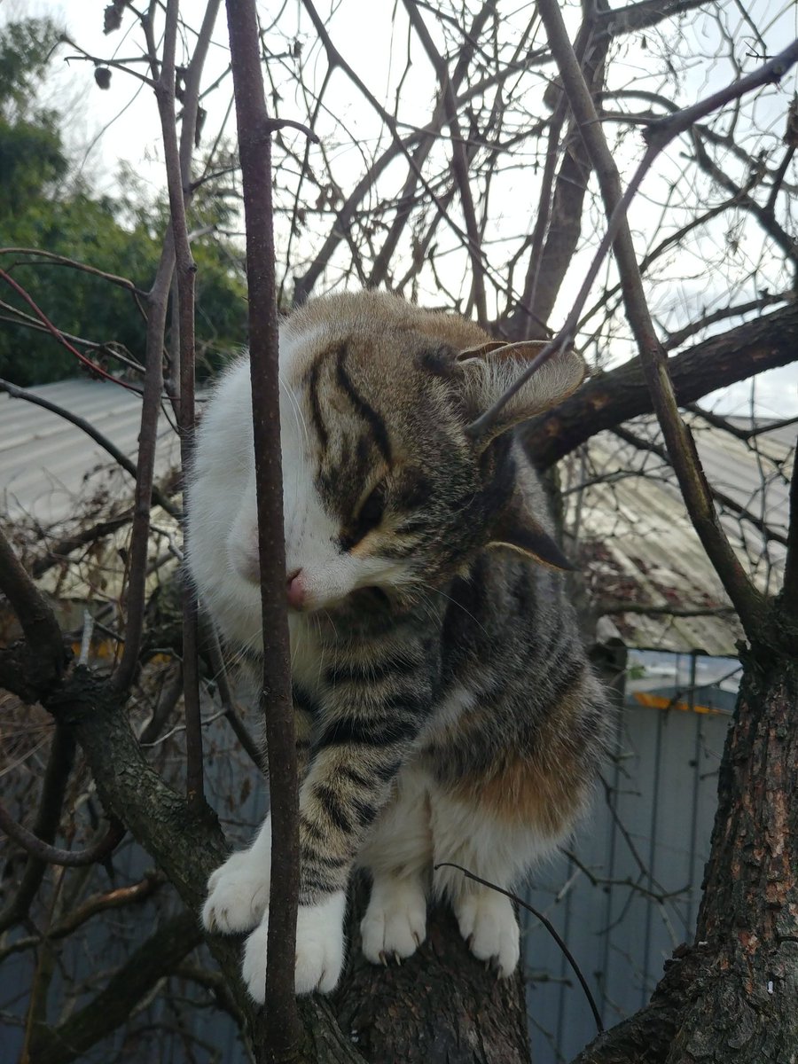 withtreecat's tweet photo. feeling. . https://t.co/INz3XDUEyi