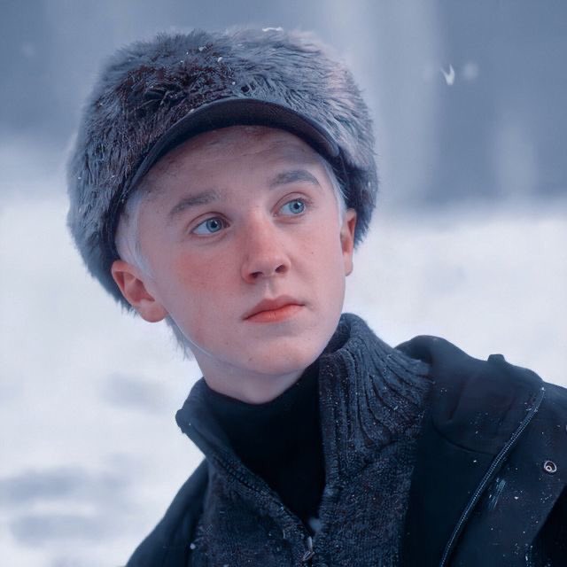 Você sabia? Harry Potter e Draco eram, na verdade, irmãos. Segundo a árvore genealógica da saga, ambos eram lindos😍
