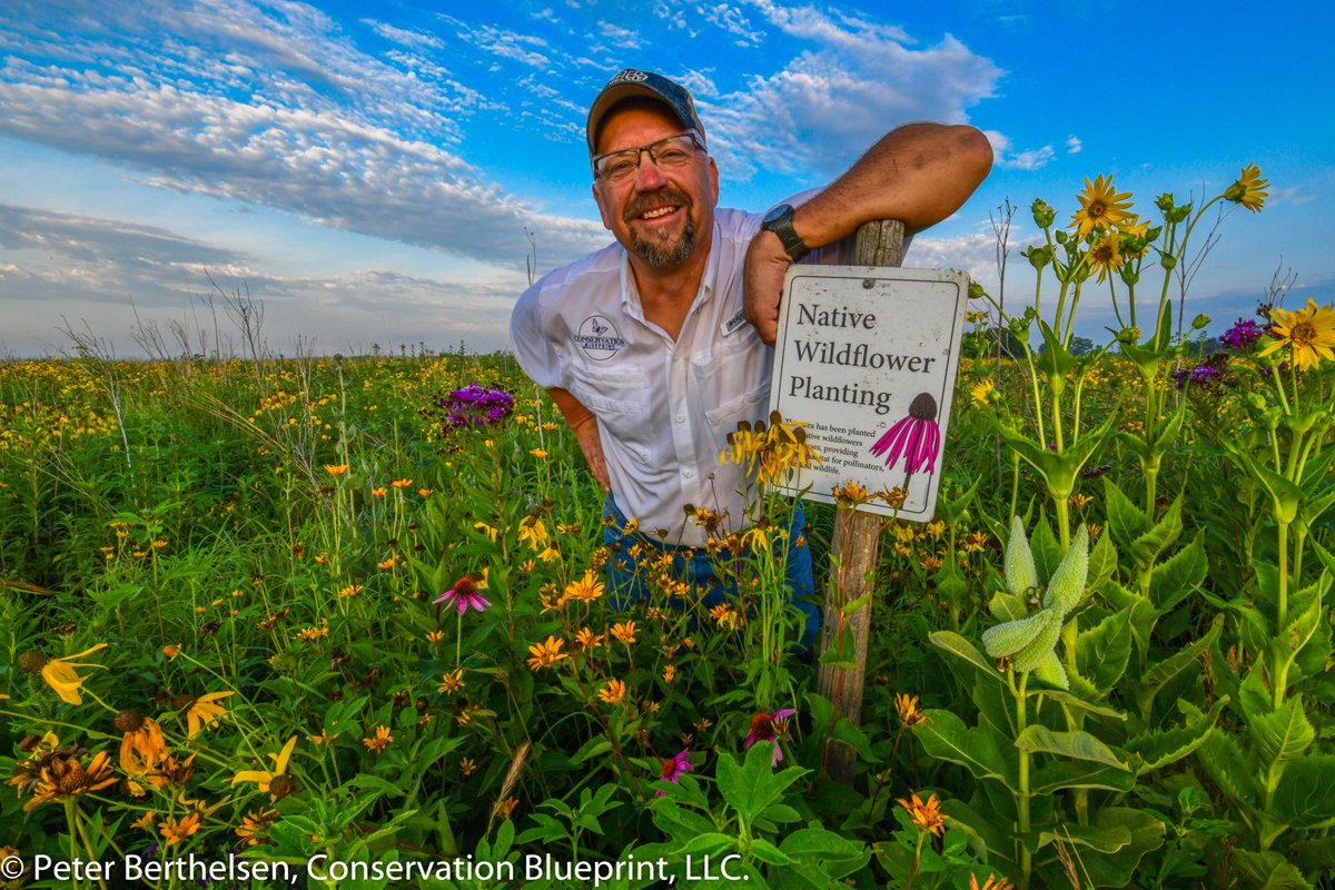 Better pollinator habitat designs = better pollinator health!

More flowers and pollinator diversity could help protect bees from parasites phys.org/news/2020-07-p… via <a href="/physorg_com/">Phys.org</a>