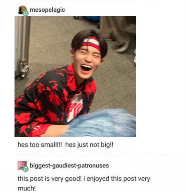 tiny 🦦 tweet media
