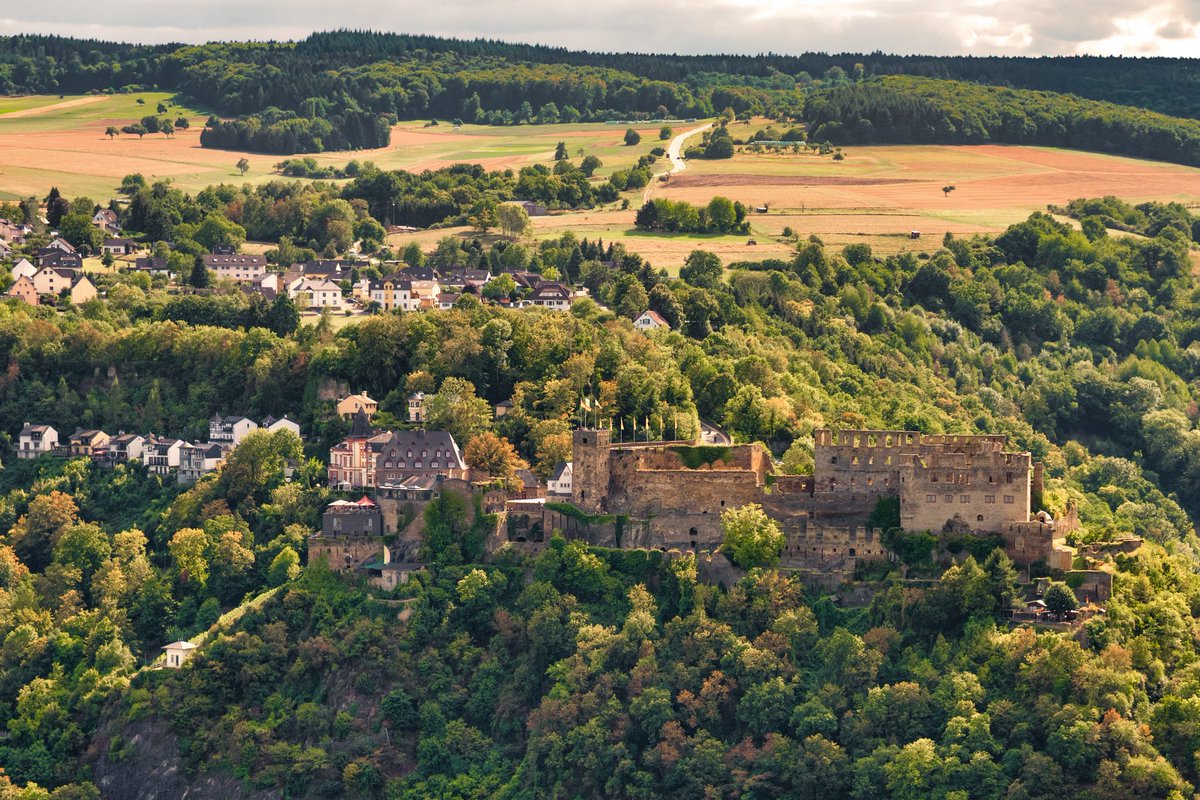 Bei fast jeder 🏰Burg im Oberen Mittelrheintal gibt es Besonderheiten. So ist bei Burg Rheinfels etwa schon im Grimm’schen Wörterbuch von einem 🐌Schneckengarten die Rede. Mehr in diesem Kapitel aus der Burggärtenstudie: buga2029.blog/2020/12/10/die… #buga2029