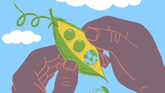 Nature Outlook on Sustainable Nutrition

nature.com/collections/fi…