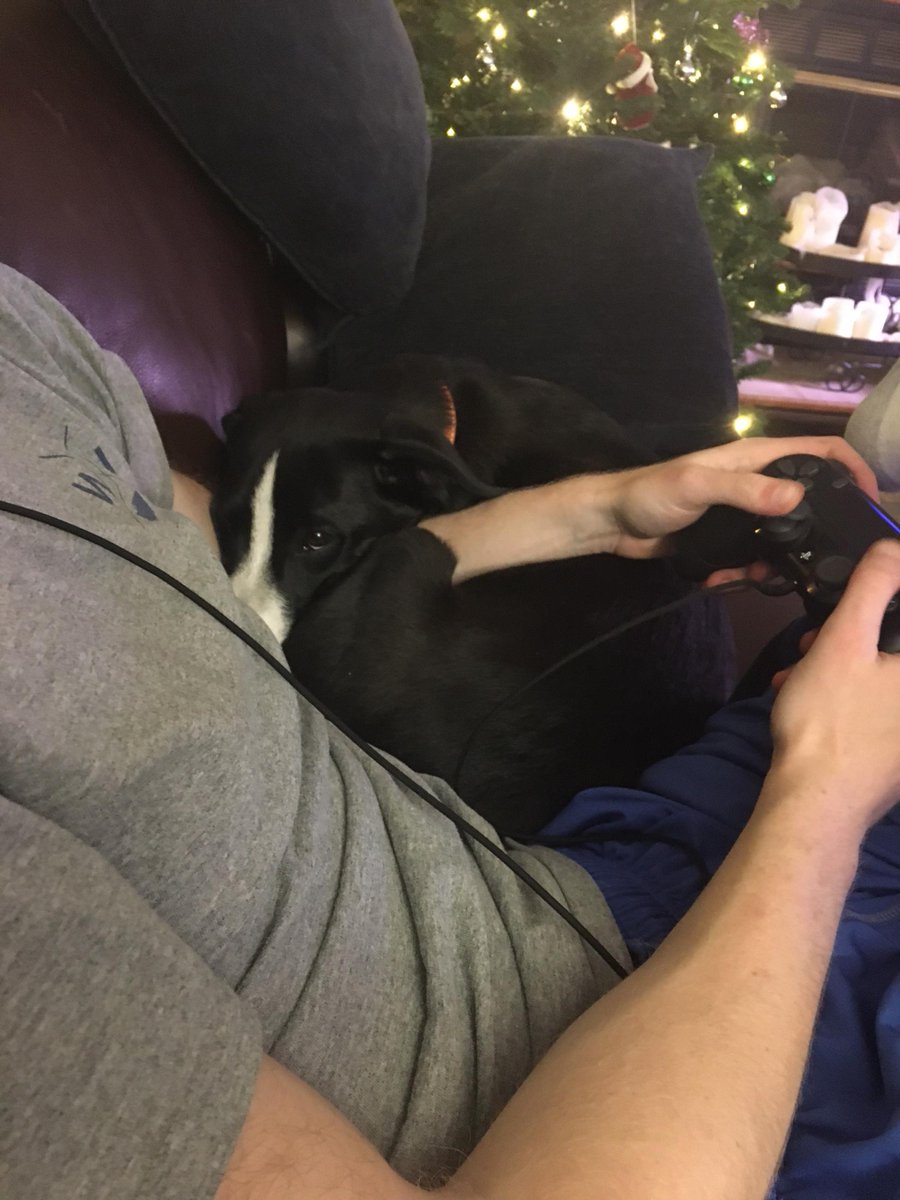 9/9 Covid-era celebrations include a personal bottle of champagne and videogames with a puppy