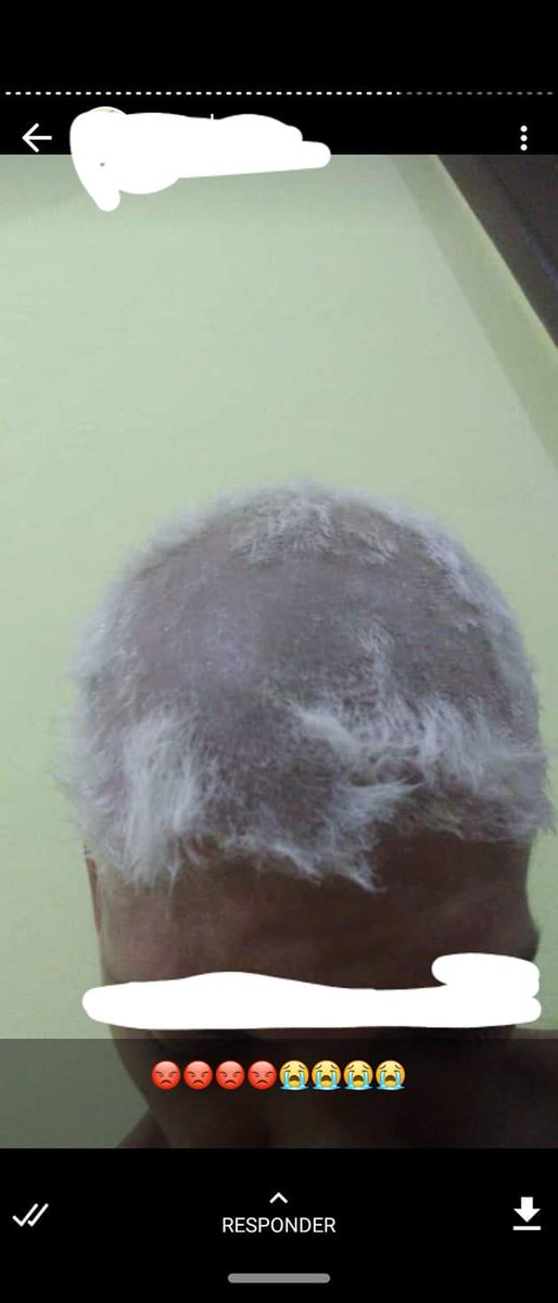 status malucos do WhatsApp tweet media