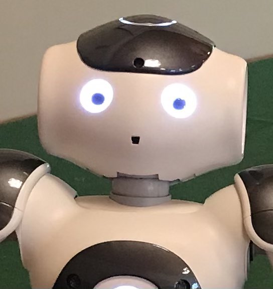 NinaPirttinokka's tweet photo. Katsokaa minua silmiin kaverit 🤖👀 #eliasrobot #smarttampere #kielenoppiminen #opsagentti https://t.co/ekRpn4BKxC