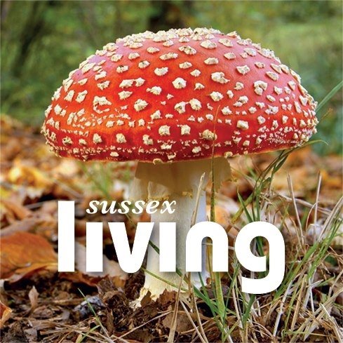 Sussex Living Magazine tweet media