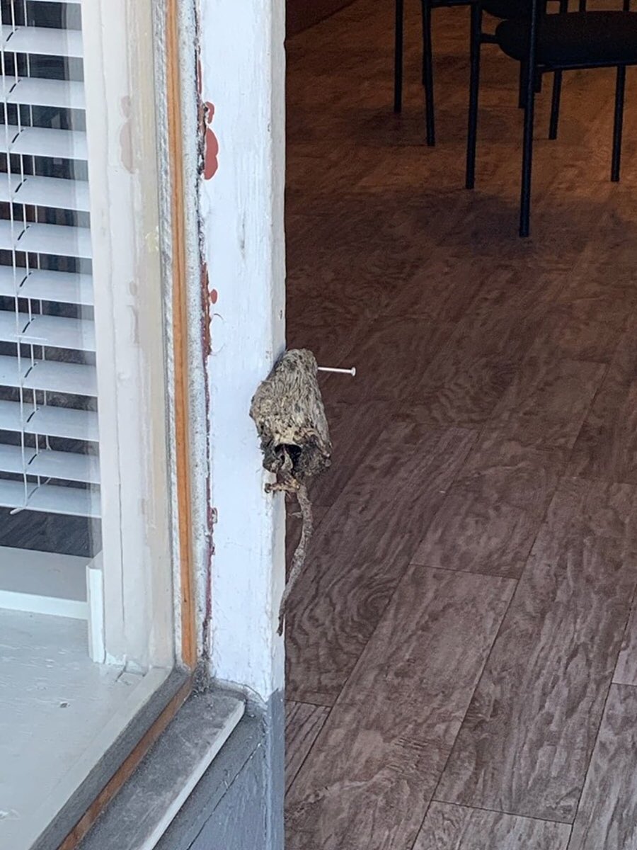 Some of them are victims of male violence,so they are trying to support victims of male violence such as the (mainly) indigenous women whose rape shelter has been targeted for being a female only space. (Vancouver Rape Relief).