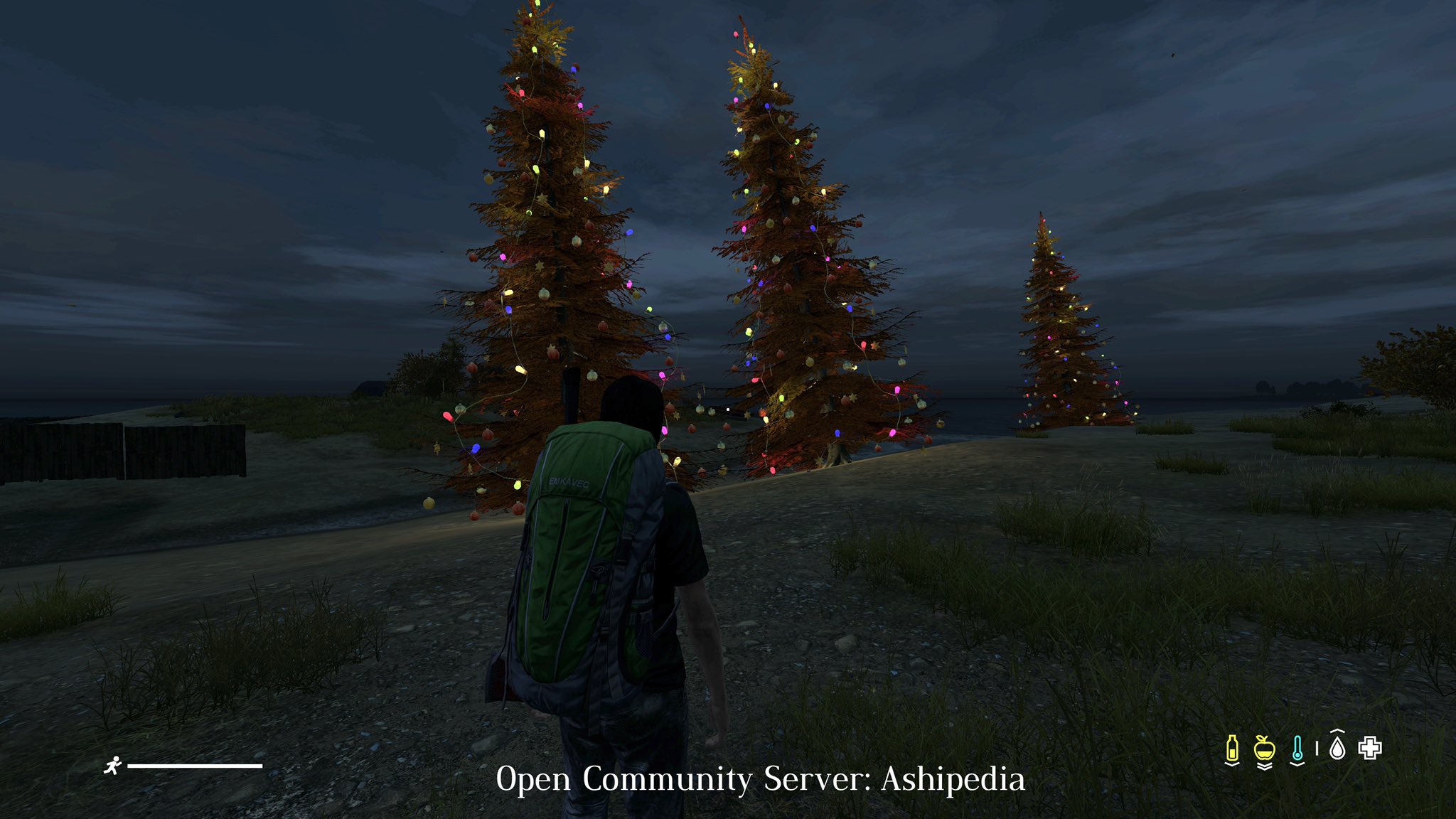 Ashipedia on Twitter "Christmas trees are here!🎄 . ashicrew dayz 