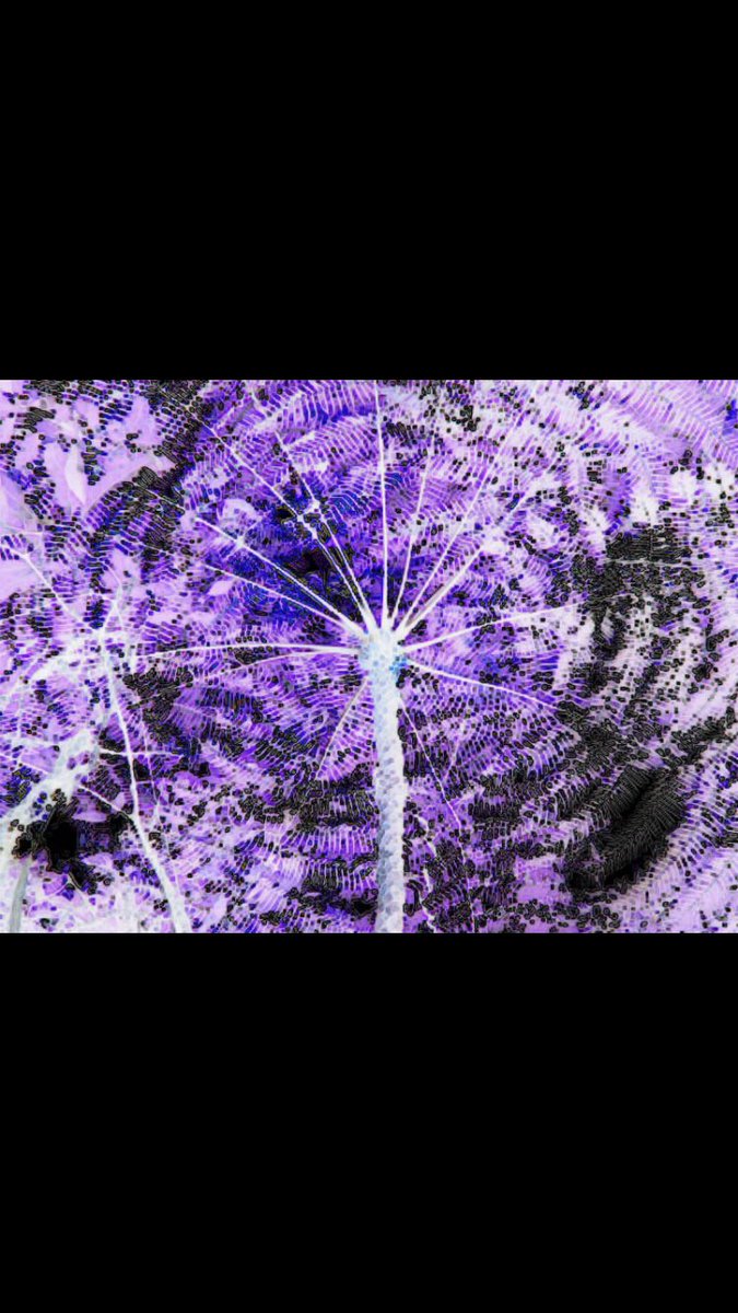 sthildscreative's tweet photo. Some excellent photos that ADAM D (Y10DT) has taken and manipulated for his #Nature typographic book.
@StHildsSchool https://t.co/a5rMhaIStN