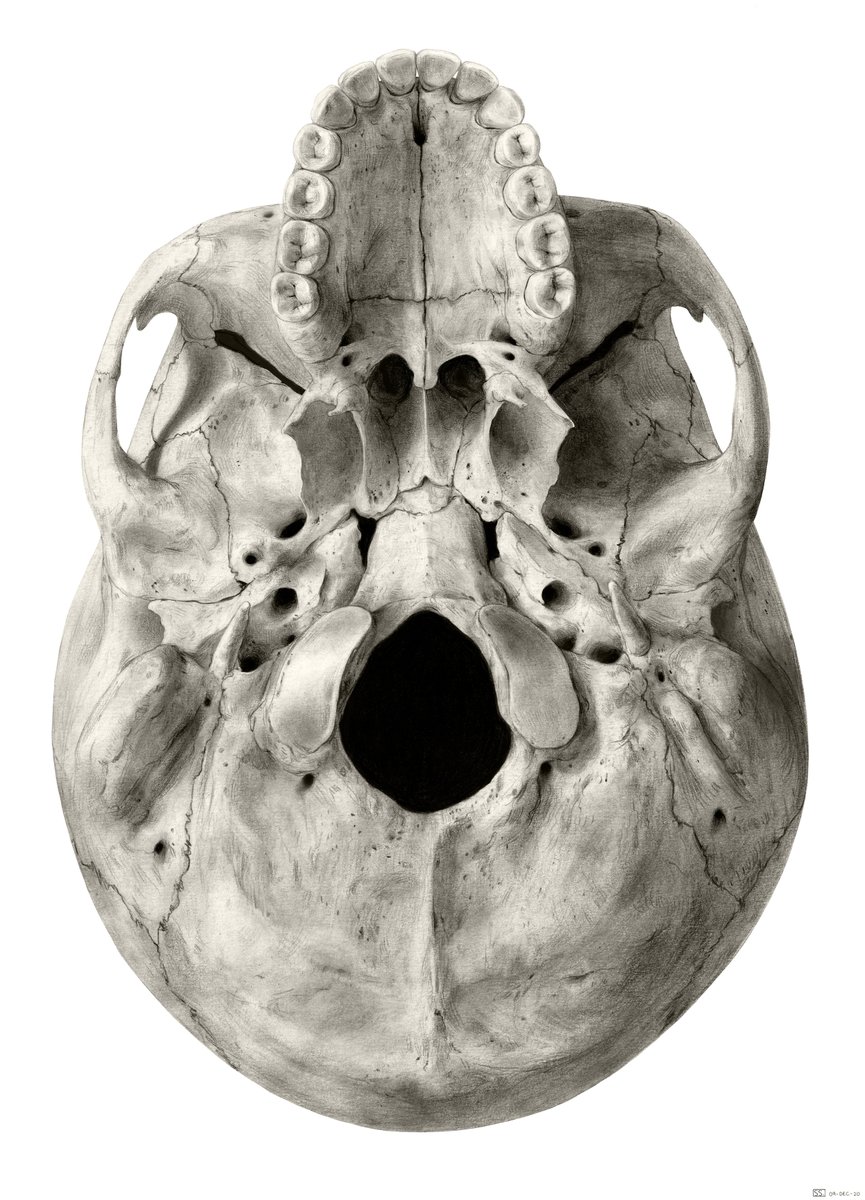 Shehryar (Shay) Saharan tweet media
