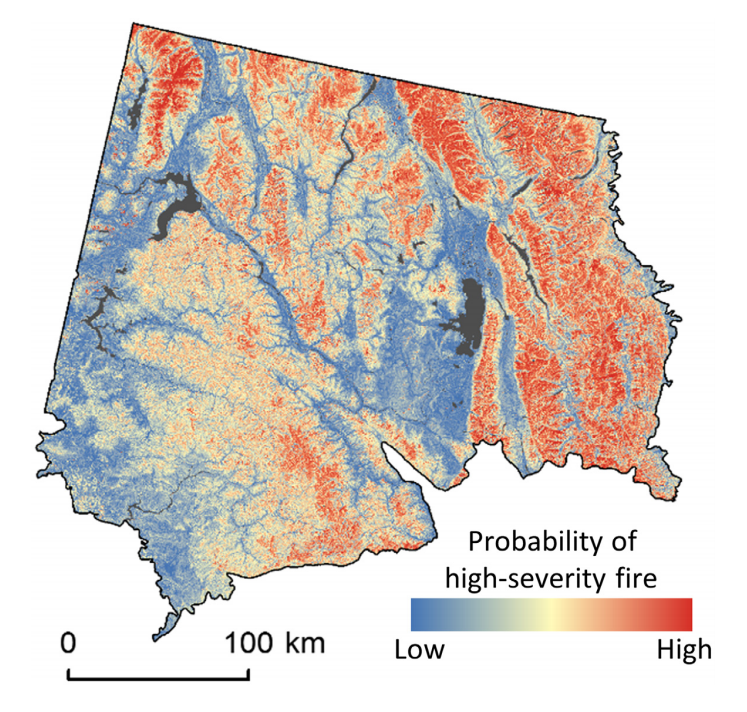 A map showing Probability of stand-replacing fire, were a fire to occur under average weather conditions, for the Canadian Rockies ecoregion. From Parks et al. 2019.
