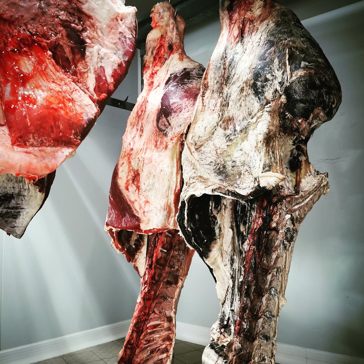 romain_leboeuf's tweet image. J&apos;aime mon #métier 😍
Ma #nouvelle bête et l&apos;#ancienne dans la #chambre #froide 😇

#RomainLBF #BonneJournée #Plaisir #Passion #Partage #SavoirFaire #MangerFrancais #ViandeDeFrance #MadeInFrance #France #Paris #HappyButcher #Butcher #ButcherLife #Artisan #ArtisanBoucher #Boucher