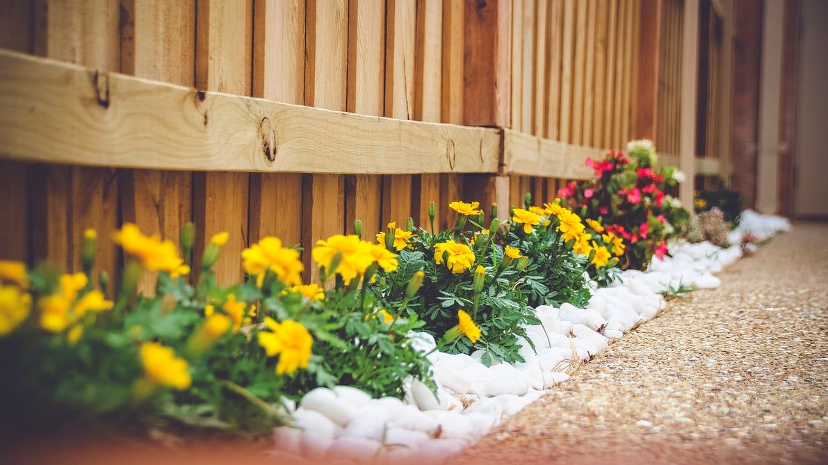 GaSelectFence's tweet image. Tis the season for chilly backyard hangs ❄️  When you have a backyard you love, you'll want to stay out there all year long!

#GASelectFence #Fence #McDonough #CowetaCounty #FayetteCounty #HenryCounty #Yard #BackYard #Home #House #HomeService