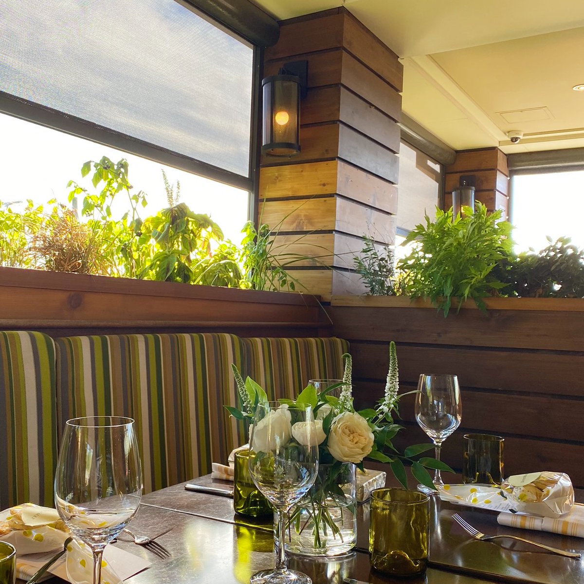 OsteriaPosto's tweet photo. Enjoying the nice day on the veranda  ✨ https://t.co/JVIH8wJc1d