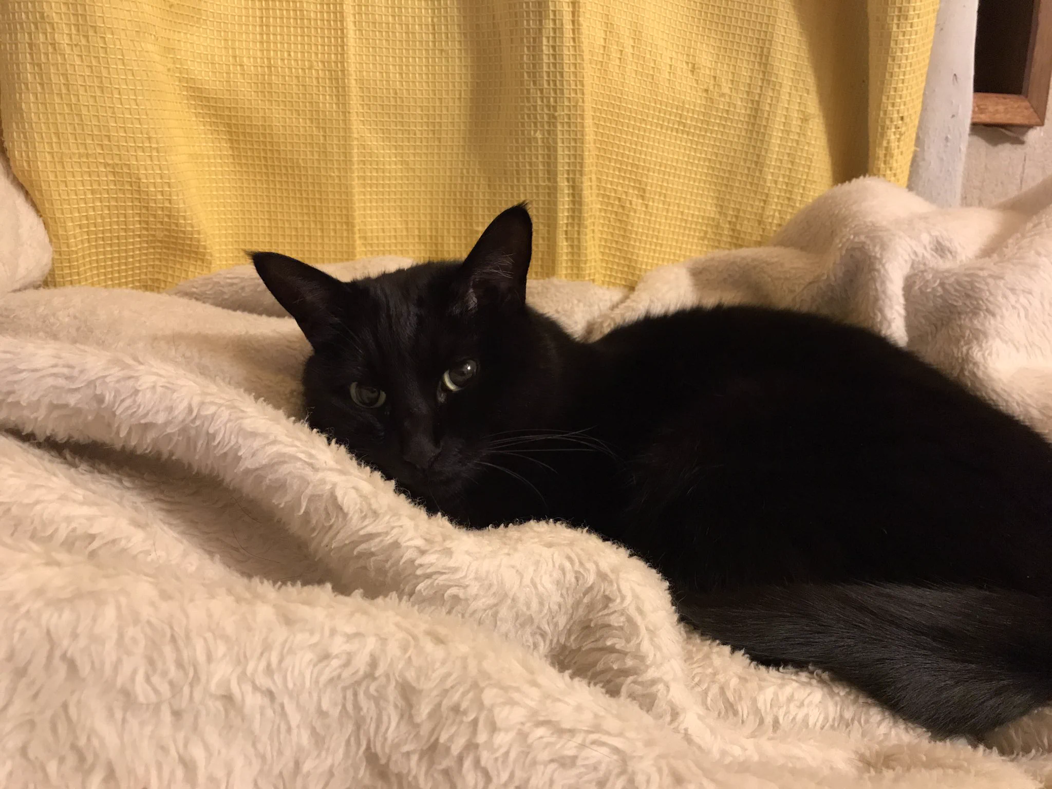 @bou128 うちも準備完了 