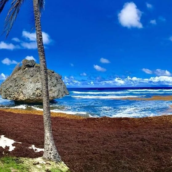 How Big! How Blue! How Beautiful 💙

#biggerthebetter 
#beautifulsea 
#beautifulthings 
#beautifulfriday 
#seaview 
#taratravelmakesdreams 
#beautifulblue