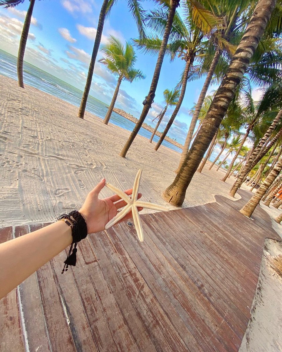 CampecheTravel's tweet photo. Ella estrella ⭐️🌴
•
📸 IG: radkyrooz
•
📍 @AakBalOficial
•
#Aakbal #Champotón #CAMPECHE #México #VisitMéxico #ConoceTuEstado #MundoMaya #SECTUR #SecturCampeche https://t.co/4r5VWh3YsU